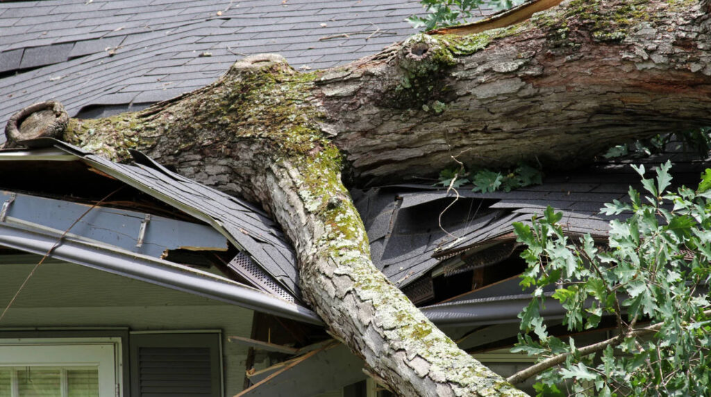 emergency roof repairs yorkshire